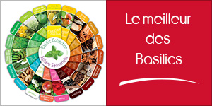 Le Meilleur des Basilics : Naissance des Collections Basilic by Darégal