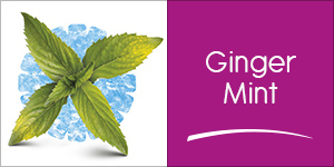 The Ginger Mint